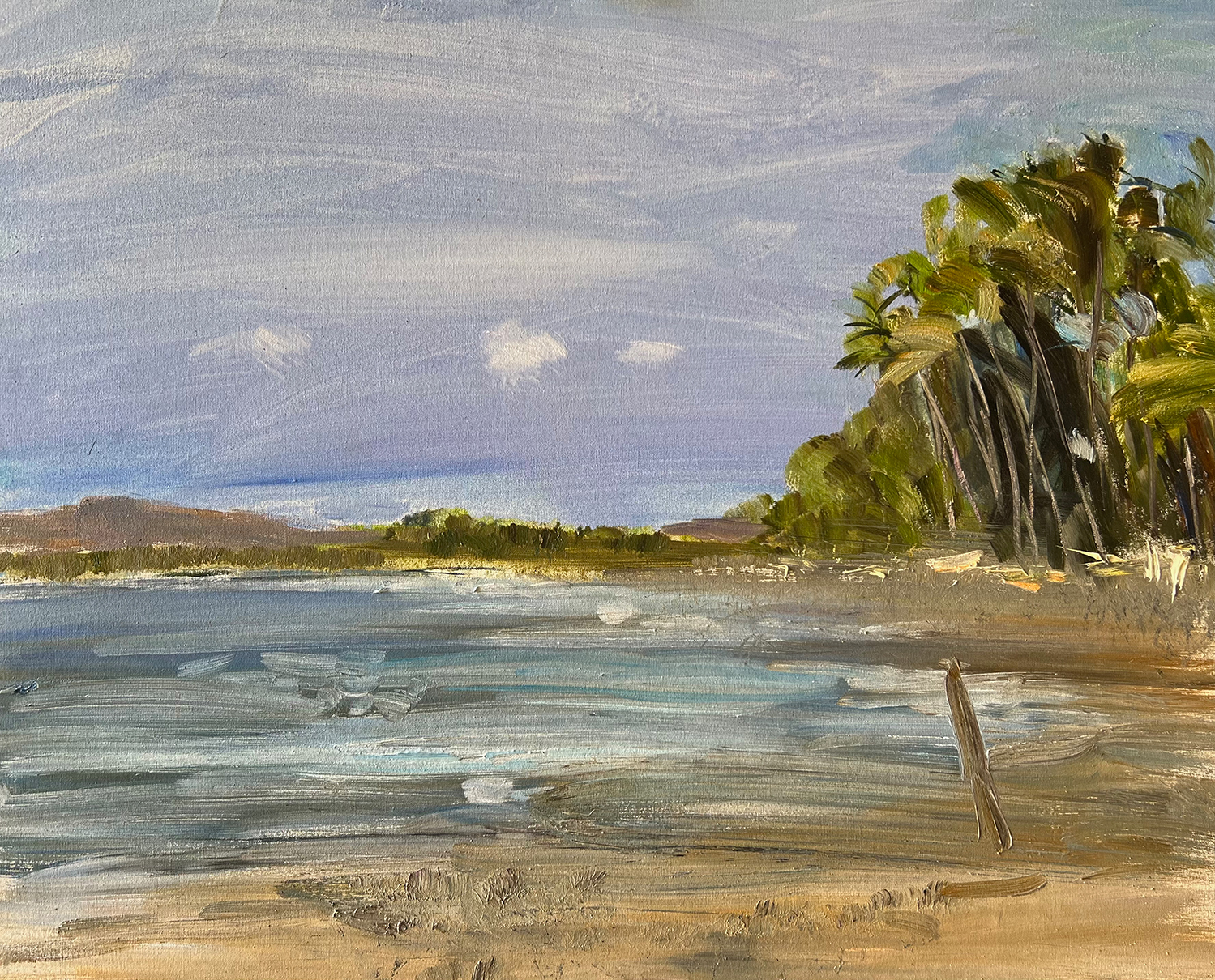 Oil painting of Tamarindo Beach